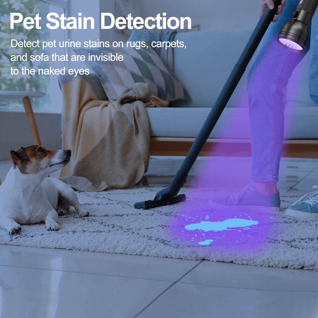 A person uses the Vansky Black Light UV Flashlight on a light rug while their dog sits nearby. The purple 51 LED blacklight reveals hidden pet urine and dry stains—perfect for detecting messes on rugs, carpets, or sofas. No more missed stains!.
