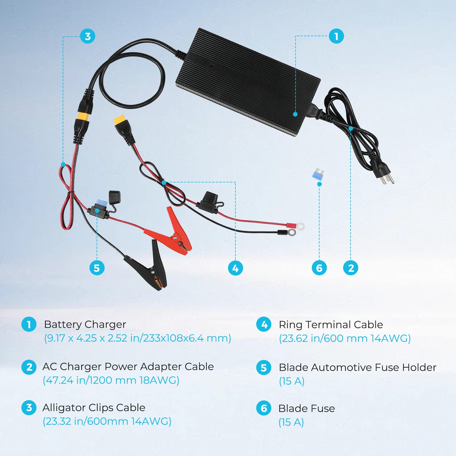 The Renogy Smart LiFePO₄ Battery Charger – 12V 20A / 24V 10A AC-to-DC Portable Charger is displayed with accessories labeled: charger, AC adapter cable, alligator clips cable, ring terminal cable, fuse holder, and fuse—each shown with measurements. Set against a blue background with a light grid pattern, the charger features a 3-stage charging process optimized for LiFePO₄ batteries.