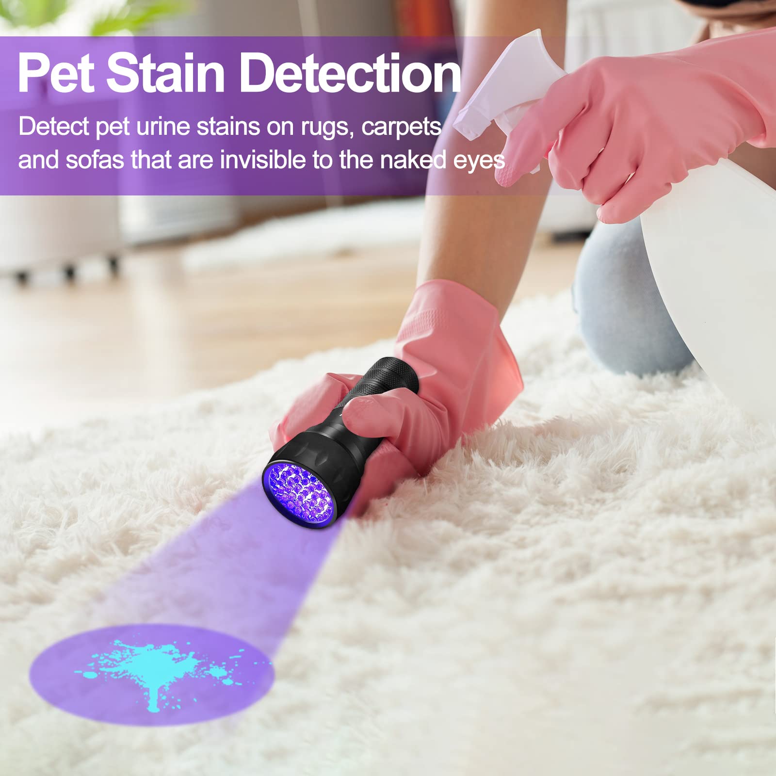 Wearing pink gloves, a person uses the Vansky Black Light UV Flashlight (51 LED, 395nm) to reveal a blue pet urine stain on a white rug—perfect for spotting dog or cat accidents on carpets and sofas. Batteries included.