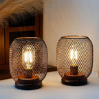 The Set of 2 Tall Battery Powered Outdoor Table Lamps feature warm bulbs in black metal mesh cages, displayed on a light surface with a wooden cabinet and dried pampas grass in the background.