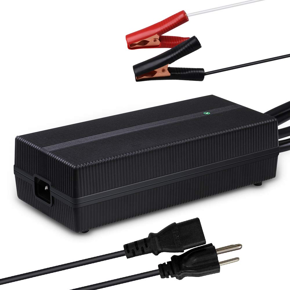 Renogy Smart LiFePO₄ Battery Charger – 12V 20A / 24V 10A AC-to-DC Portable Charger with Alligator Clips & Ring Terminals - Dynamic Power Supply - Battery Charger